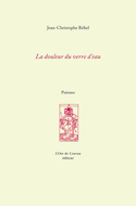 Douleur du verre d'eau (La) [nouvelle édition]